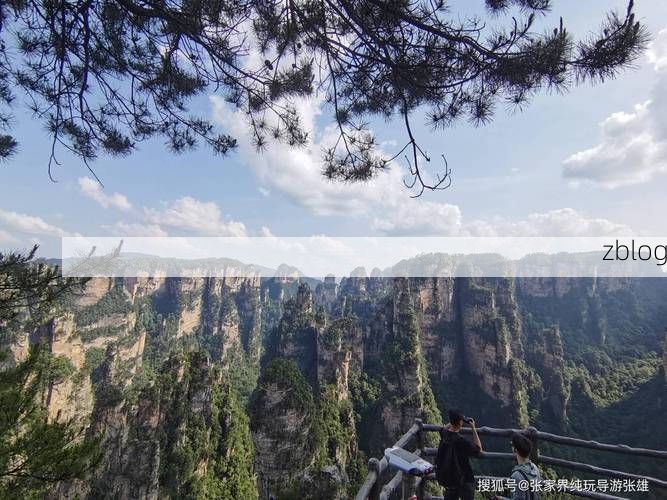 张家界：峰林屏障下的疫情突围战