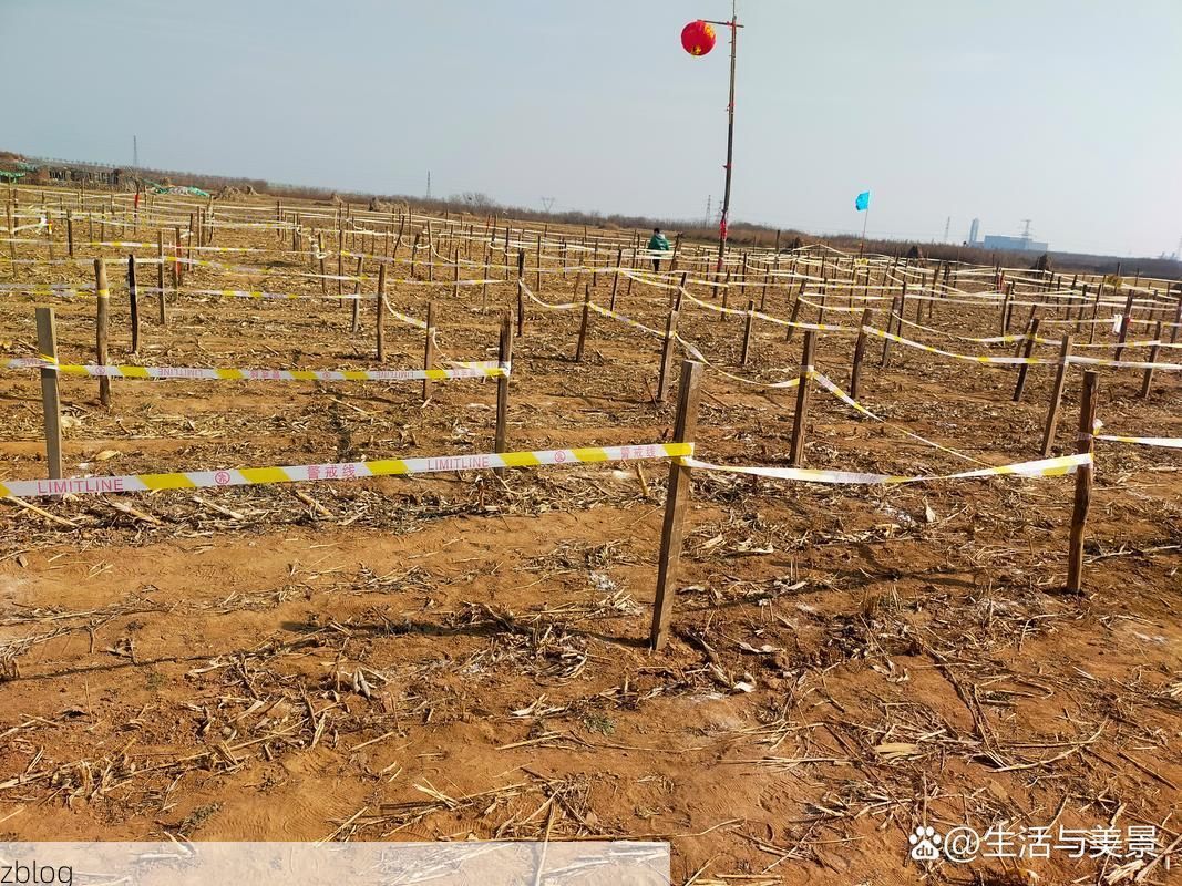 阳曲：黄土高原沟壑间的县域防疫样本