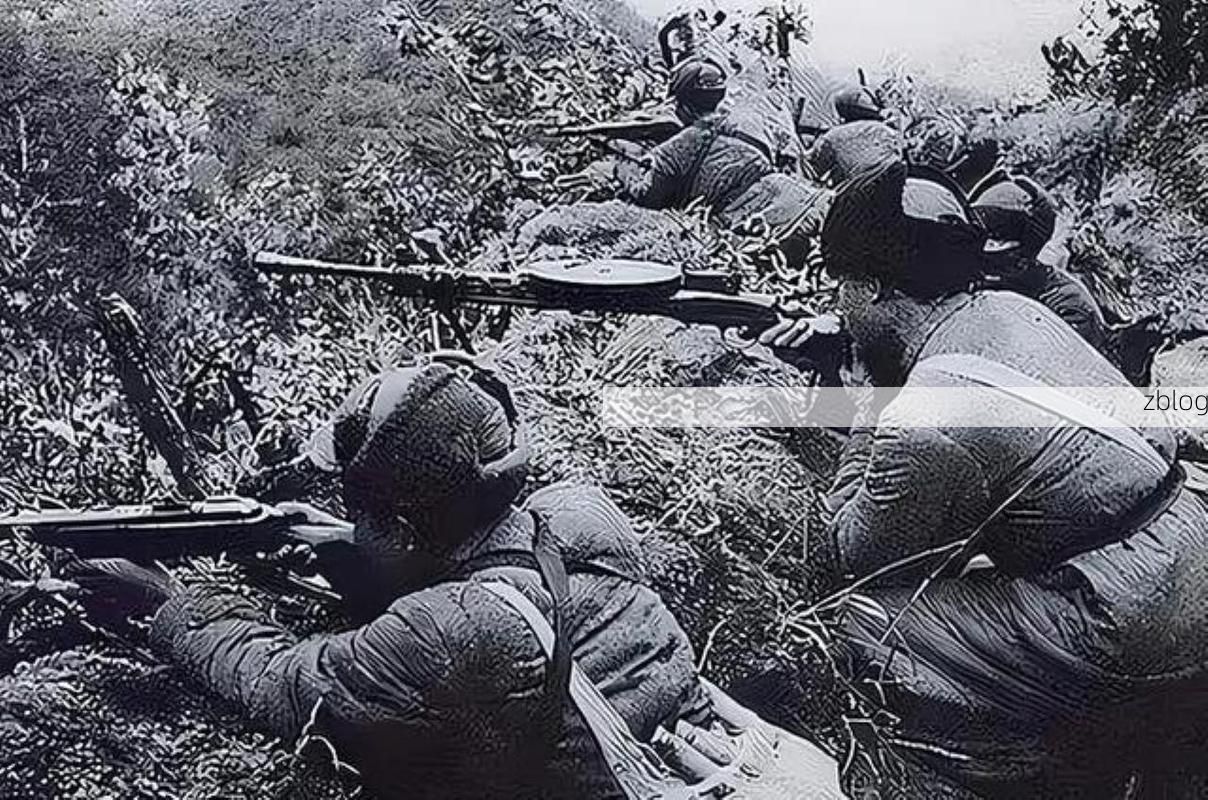 松滋：江汉平原交通节点上的疫情阻击战