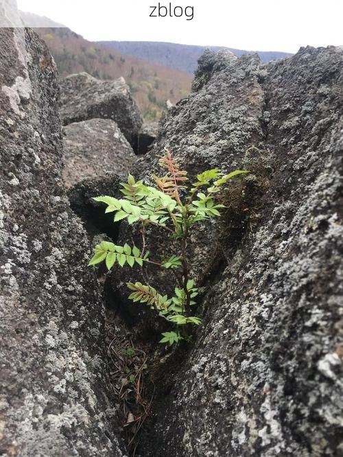 江源区:长白山腹地零感染背后的地理屏障