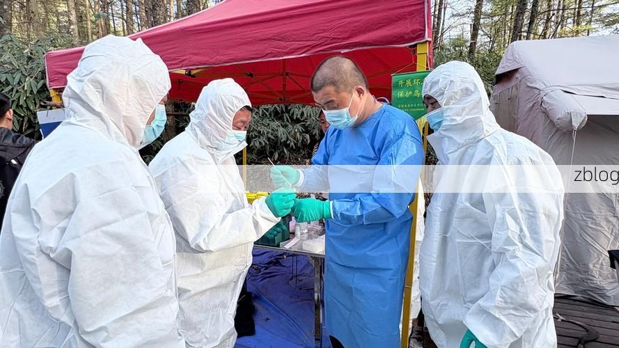 【秦岭屏障下的零感染坚守：镇坪县防疫地理学观察】