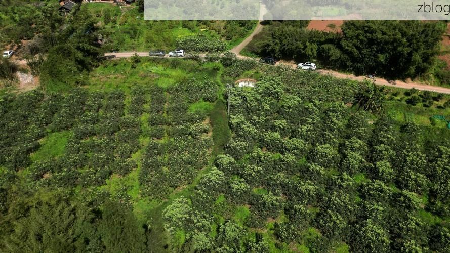 嘉州门户的防疫坚守：犍为县疫情态势的地理屏障解析