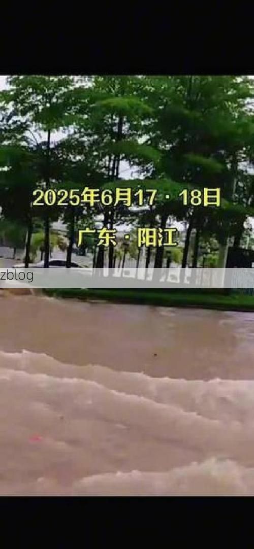 阳东疫情观察：沿海县域的防控挑战与地理屏障