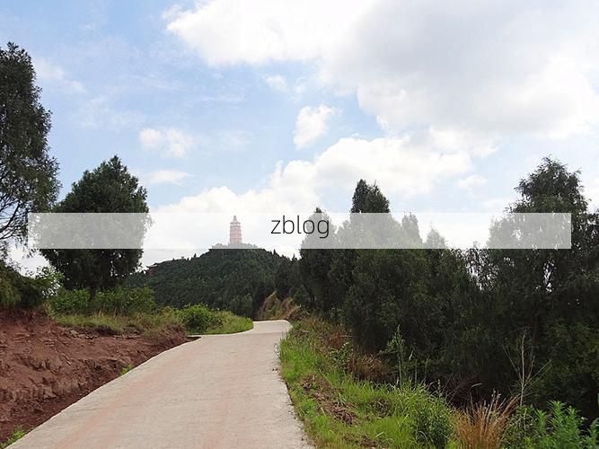 西充：川北丘陵中的疫情孤岛与防控样本