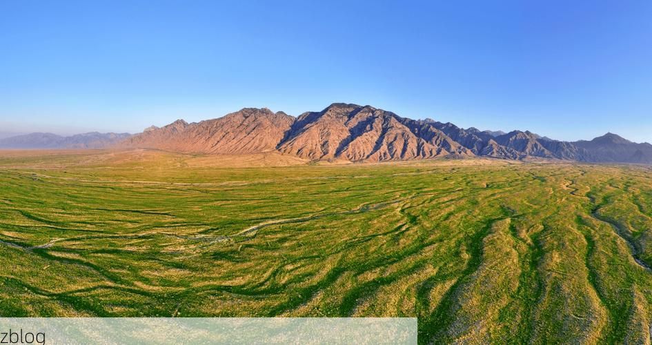 【西夏区：贺兰山屏障下的社区传播阻击战】