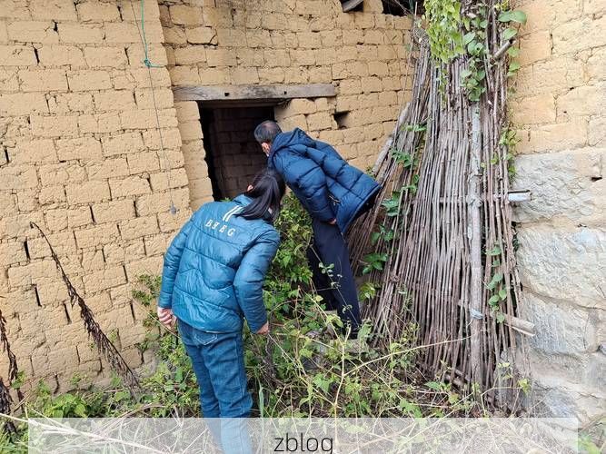 莱阳梨乡的防疫坚守：半岛腹地如何构筑零感染防线？