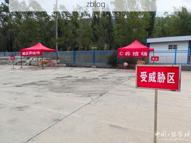 志丹：黄土高原沟壑间的县域防疫样本