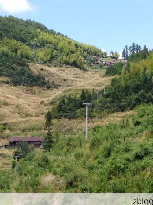 浦城：闽北山城屏障下的“零感染”坚守