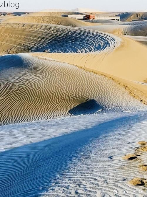 阿拉尔：塔克拉玛干边缘的零感染绿洲如何铸就？