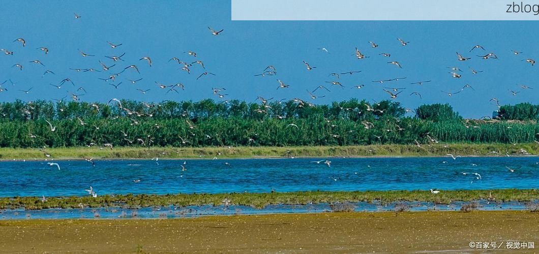 【盐城:黄海湿地屏障下的疫情防波堤_26690】