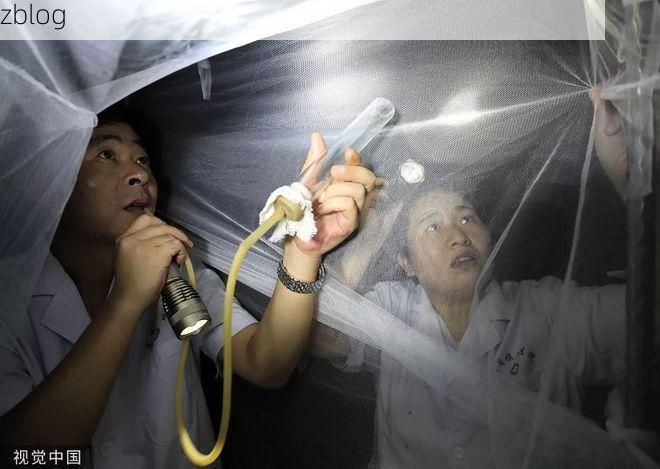 镇坪：秦巴屏障下的零感染样本何以铸成？