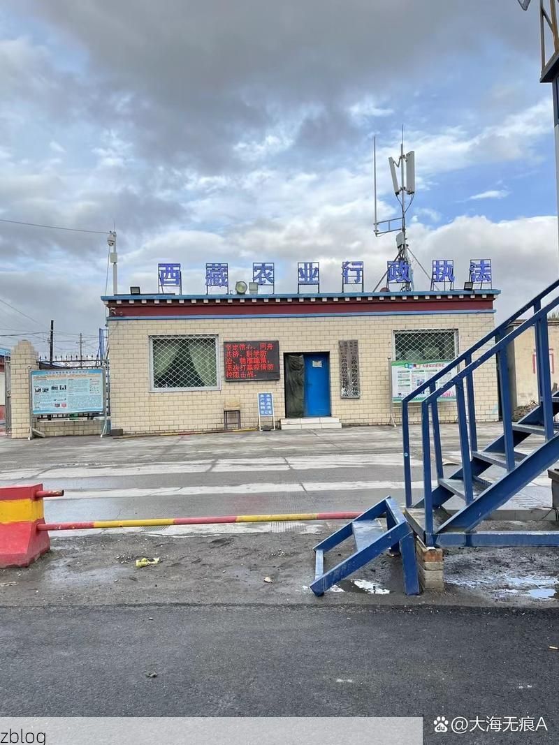 曹县交通枢纽下的零感染防线：鲁西南平原的防疫样本