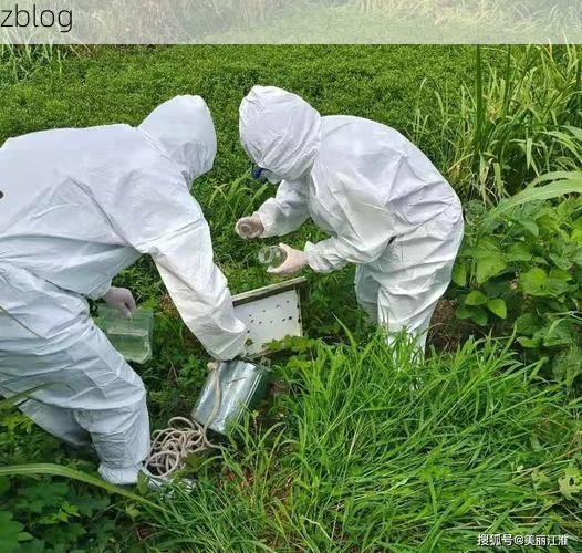 长乐：滨海侨乡的疫情防线与局部破口