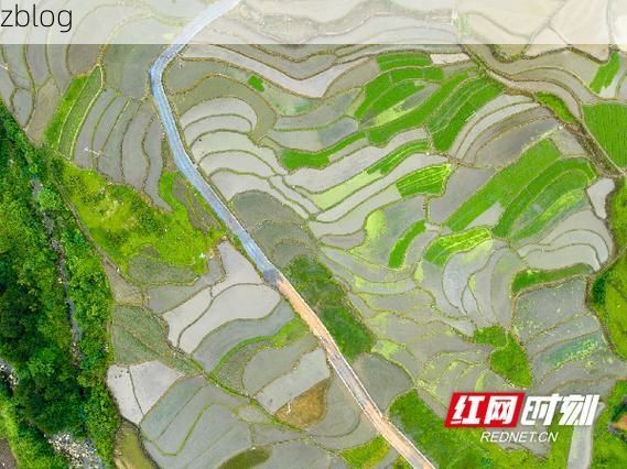 道县：湘南丘陵间的疫情防线与破防时刻