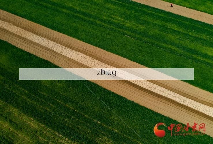 临洮县：黄土高原沟壑间的防疫坚守与挑战