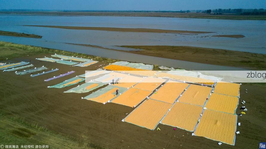 长垣：黄河滩区交通枢纽的防疫压力测试