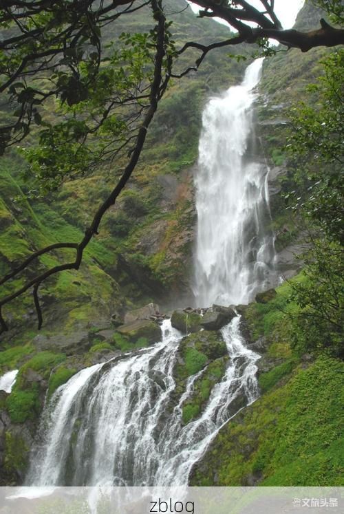 镇沅：哀牢山屏障下的零感染坚守与防控挑战