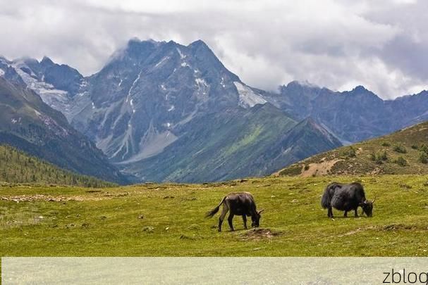 长顺县：喀斯特屏障下的零感染坚守