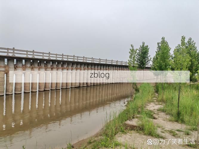 温县：豫北平原上的疫情防波堤