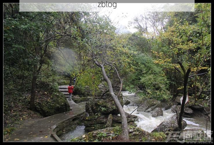 广元市疫情地理屏障：秦巴山区的防控挑战