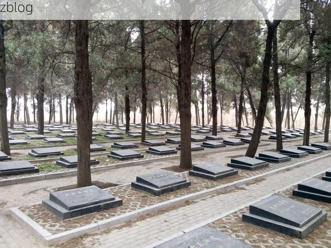 莘县疫情观察：鲁西平原交通枢纽的防控压力测试_22925