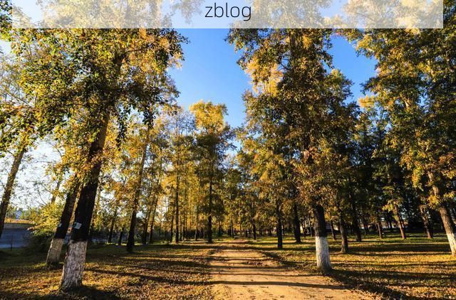 【边境小城的静默防线：图们江畔的零感染坚守_47283】