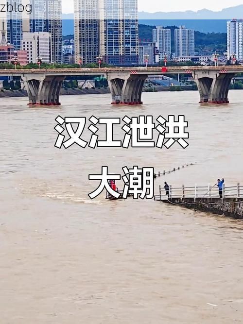 洪湖市：江汉平原水网下的疫情阻击战_62778