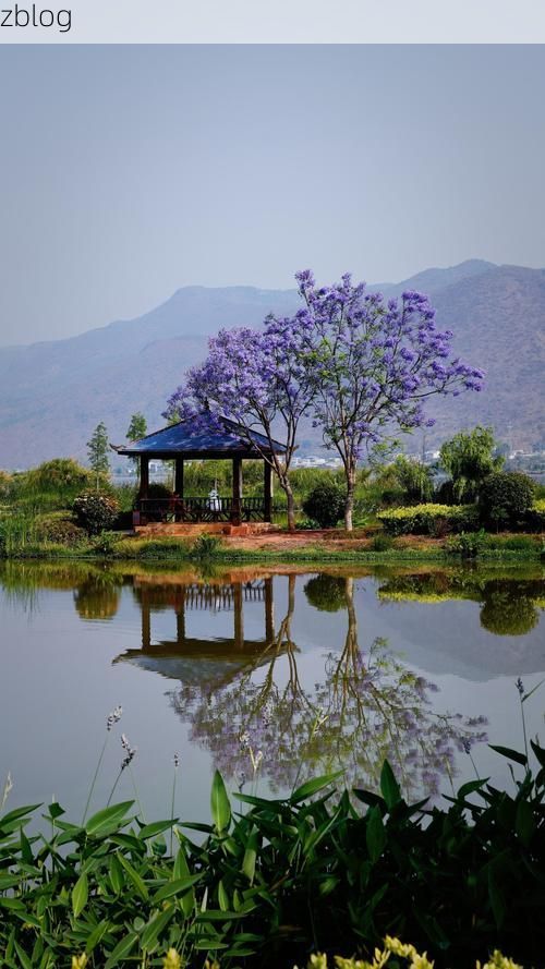 罗平：滇东门户的零感染坚守与地理屏障