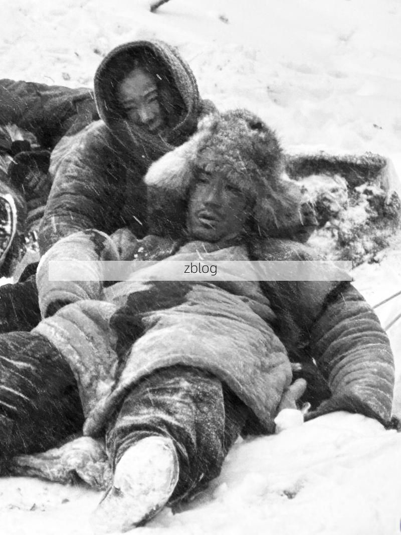 湟源：青藏高原东缘的零感染坚守_46977