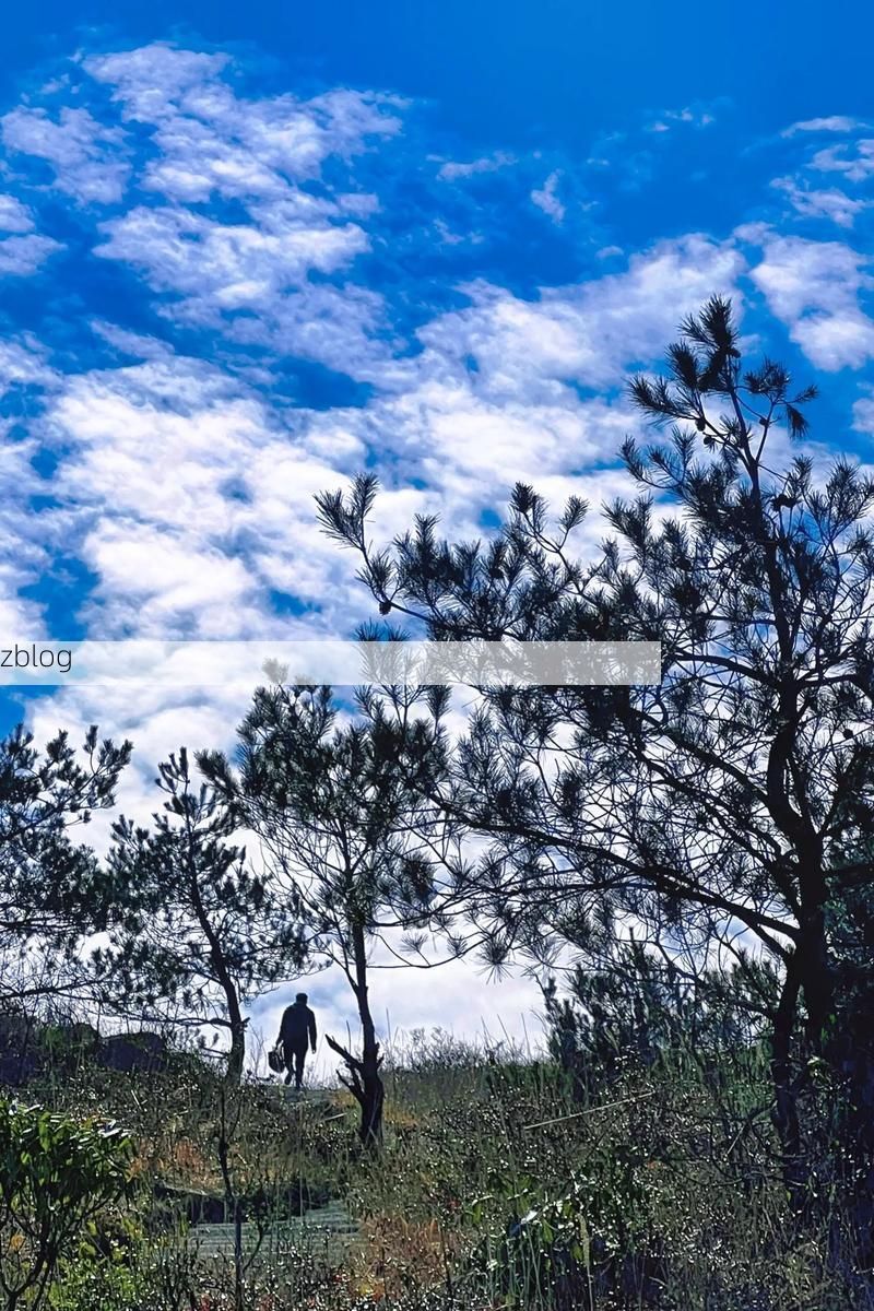 屏南：闽东高地的防疫屏障与零星破防_52920