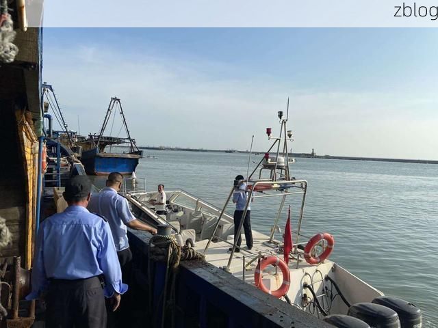 惠农区：黄河水畔的工业重镇如何构筑防疫屏障？