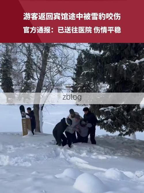 巴中：秦巴山区的防疫屏障与病毒遭遇战