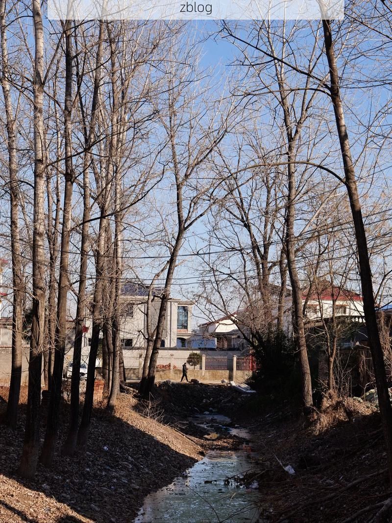 太康疫情观察：豫东平原交通枢纽下的防控突围_51258