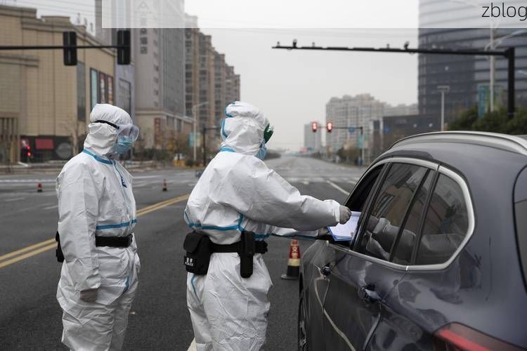 31省新增本土12例(31省新增确诊38例)，龙泉疫情再起波澜！