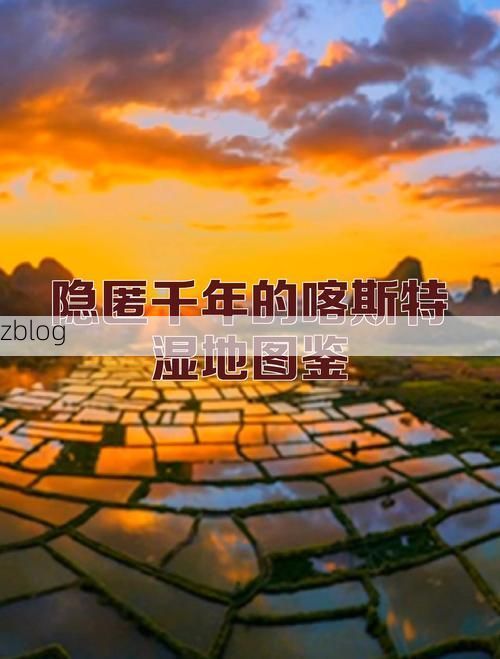 秀峰区：漓江畔的静默防线与隐匿传播链