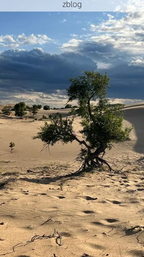 阿鲁科尔沁旗：草原腹地的零感染坚守