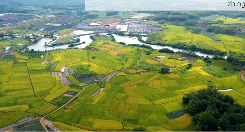 兴宾区：桂中交通枢纽的防疫压力测试