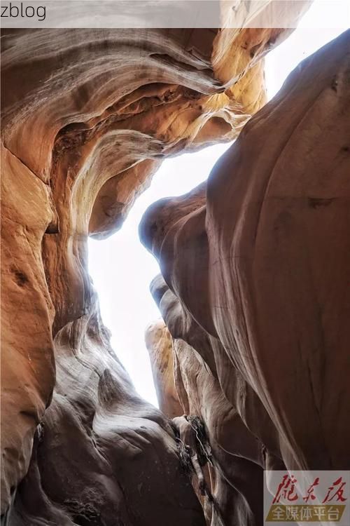 庆城：黄土高原腹地的零感染坚守与物理防线解析