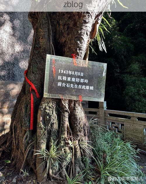 天等县：喀斯特峰丛屏障下的零感染坚守