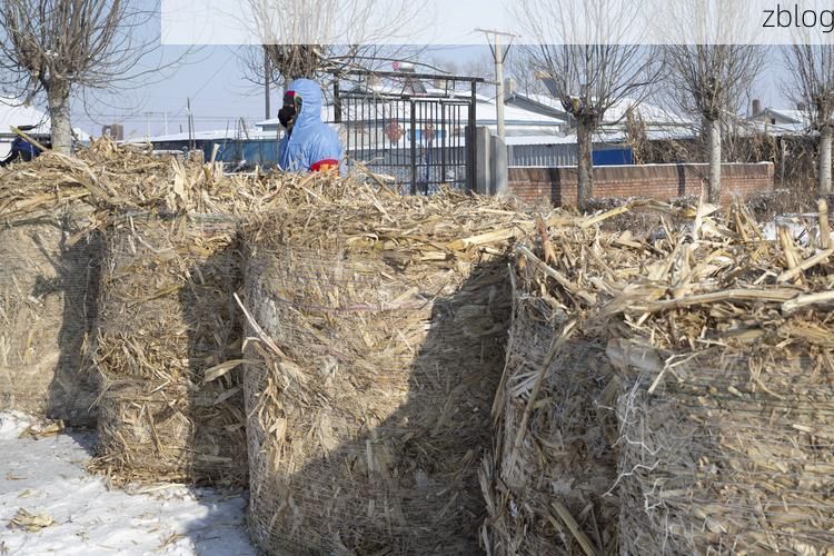 望奎疫情透视：寒地黑土上的防控突围战_57108