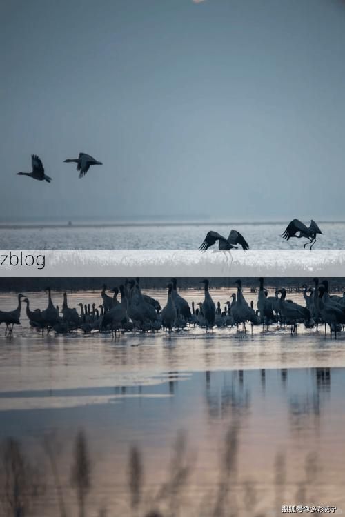 草原小城的防疫坚守：杜尔伯特蒙古族自治县零感染的地理屏障