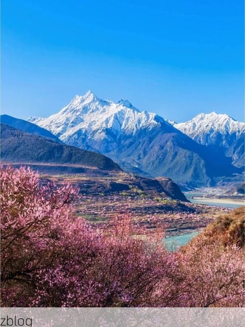 林芝新增1例无症状感染者  林芝市疫情防控最新通报_51724