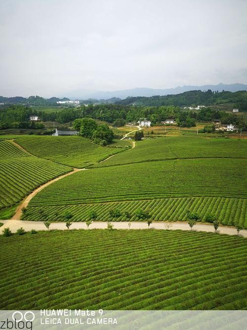 2022年9月9日湄潭新增确诊病例情况_76978