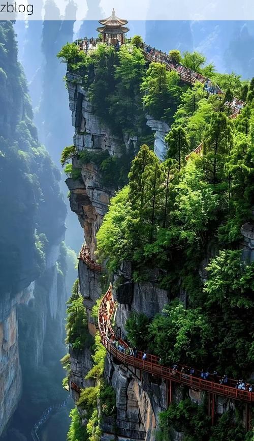 张家界：武陵源屏障下的疫情破防与精准围堵_78894