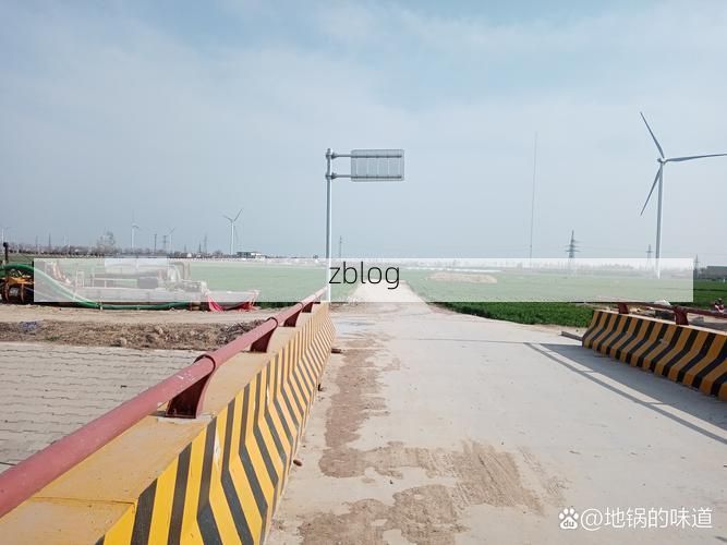 桃城区：华北平原交通枢纽的疫情破防与围堵