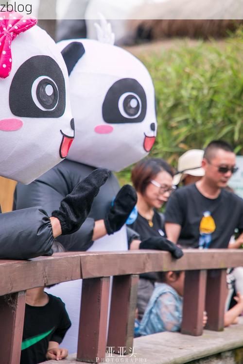 祁阳：湘南丘陵中的防疫样本与零感染愿景