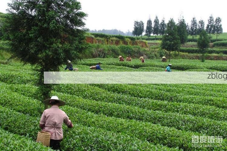 邛崃疫情观察：川西坝子地理屏障下的防控逻辑