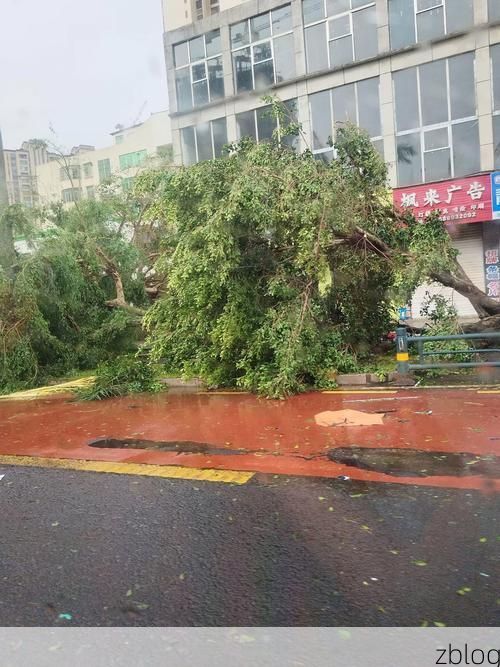 湛江：半岛气候屏障下的疫情破防时刻