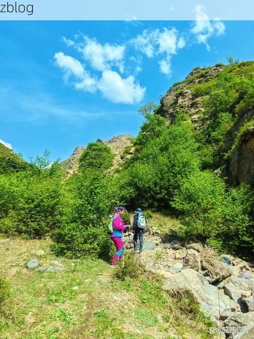 朝阳县：辽西丘陵屏障下的疫情防线与破防时刻