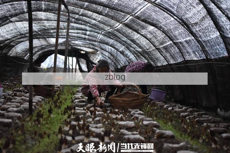 贵州三穗：低感染率背后的交通枢纽防疫战